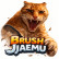 Brush Jjaemu img