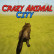 Crazy Animal City Crazy Animal City img